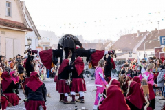 08.02.2025DonauhexaSigmaringendorfbyJuliaKrauseFotografie503